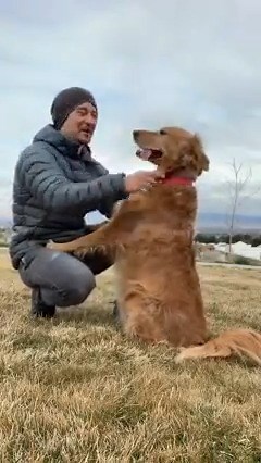 The Ultimate Nala Stomp Compilation (part 1) Full Nala stomp sequences for the ultimate serotonin boost 📈 | adventuringwithnala