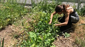 410K views · 374 reactions | Meet two ‘One Small Step’ fans who are taking everyday steps to live more sustainably | NowThis | Facebook