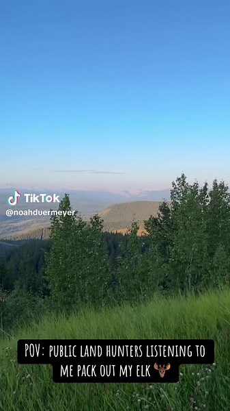 Public Land Elk Packing: A Hunter's POV Experience