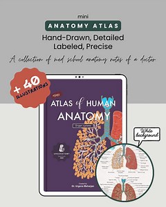 Mini atlas d'anatomie humaine (systèmes d'organes) - Blanc - Etsy France