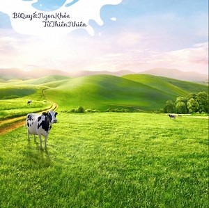 Nếu đã mê vị sữa tươi Vinamilk 100% Organic chuẩn Châu Âu thơm mùi cỏ, thuần khiết từ thiên nhiên, chắc chắn nàng sẽ không thể bỏ qua thành viên mới nhất của gia đình Vinamilk Organic: sữa chua Vinamilk Organic thanh nhẹ, giàu dưỡng chất tự nhiên. Từ nay nàng có thêm 1 lựa chọn để sống xanh mỗi ngày. | Vinamilk