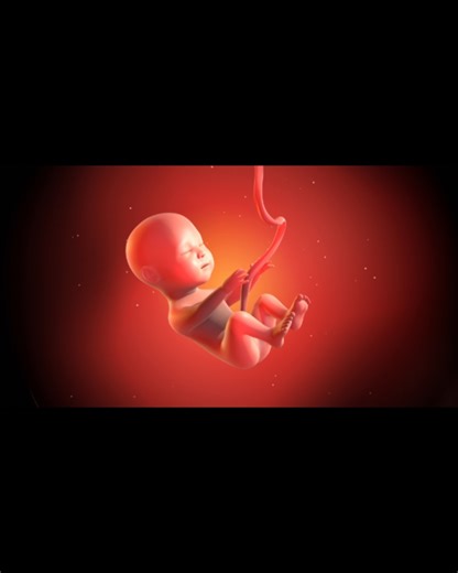 🧬 Inheritance isn’t just DNA - it’s memory. What your ancestors lived through may still whisper in your genes. New research demonstrates that epigenetic modifications — such as histone marks and chromatin structure changes — can be reliably transmitted across generations, influencing traits like ovarian reserve, ageing, and disease susceptibility. In controlled mouse studies, scientists traced how exposures in the F0 generation led to measurable phenotype shifts in F3, proving that inheritance 