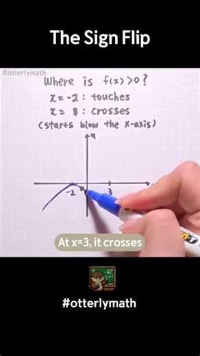 The Sign Flip🦦 #graph #studywithme