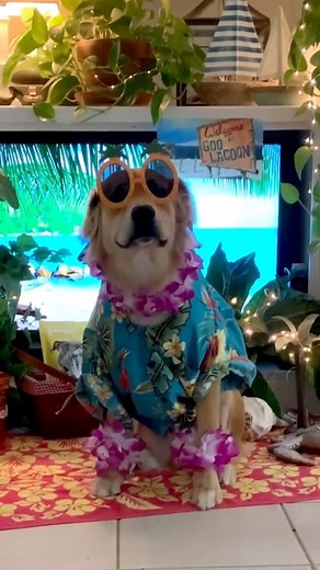 Goo Lagoon Staycation: Dive into the SpongeBob World