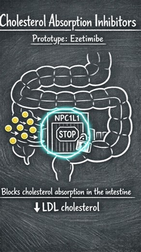 CHOLESTEROL ABSORPTION INHIBITORS #cholesterol #nclex #medicine #heartdisease #heartcondition #med