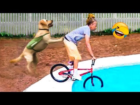 Best Funny Animal Videos 2022 😂 - Funniest Cats And Dogs Videos 😃🐴
