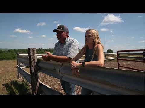 Types of Cattle Housing