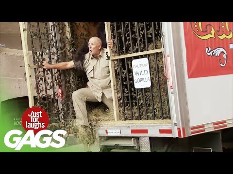 Gags effrayantes | Compilation de juste pour rire