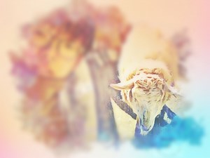 【アルゴリズム(JS実装)】Rabin-Karp Algorithm