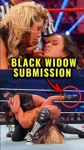 AJ Lee DESTROYS Kaitlyn with Savage Submission (2013)