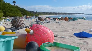 Estimated 37.7 million pieces ,of plastic on Henderson Island,