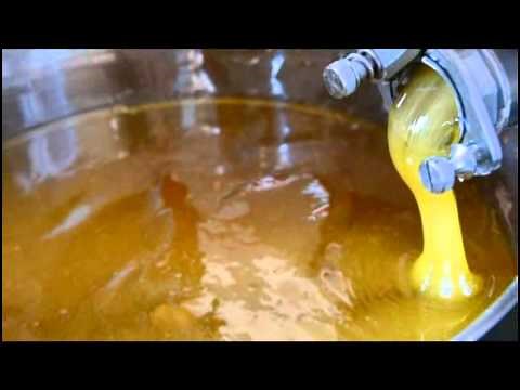 Il Ciclo Produttivo del Miele - How it's made: Honey