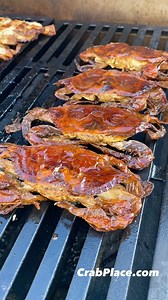 Can you grill soft shell crabs? The answer is easier than you think… CrabPlace.com #crab #crabplace #crabs #softshellcrab #softshell | CrabPlace.com