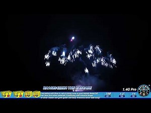 RA168S42DX4 THE CASCADE Raccoon Fireworks 1.4G pro Compoud Cake