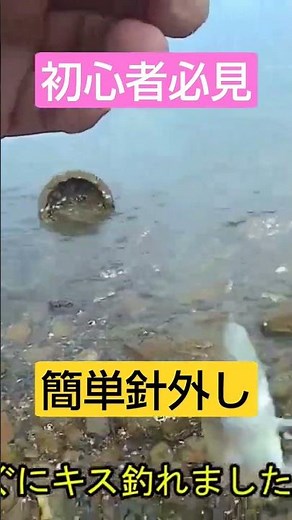 26-【ちょい投げキス釣り】超簡単、シロギスの飲み込んだ針外し方(5秒で取l外し)