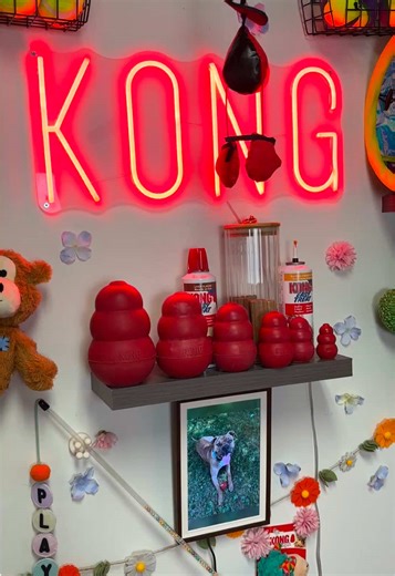 Want your pet on KONG’s LIVE Wall? 🎥🐶😻 Drop a pic of them with their favorite KONG toy in the comments for a chance to be featured! ✨ #KONG #KONGCompany #KONGDog #KONGCat