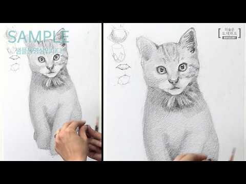 [소묘] 동물 털 쉽게 그리는 방법 : 고양이 소묘 샘플영상