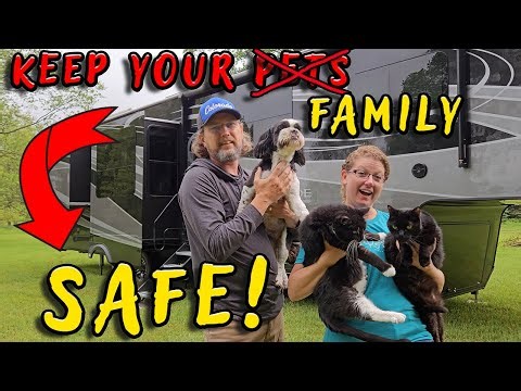 Keep Your Pets Safe! | Remote Temperature Monitoring for Your RV | Full Time RV Living