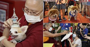 Jalan Besar temple holds animal blessing night for 2nd time on Vesak Day eve