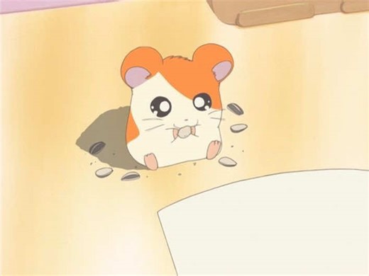 Hamster Edit Compilation: Funny & Cute Hamster Clips
