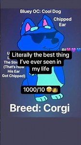 Ranking Bluey OCs Part 3 🐶🐾 #bluey #blueyfandom #blueyoc #blueyart #fanart #ranking #hideaki