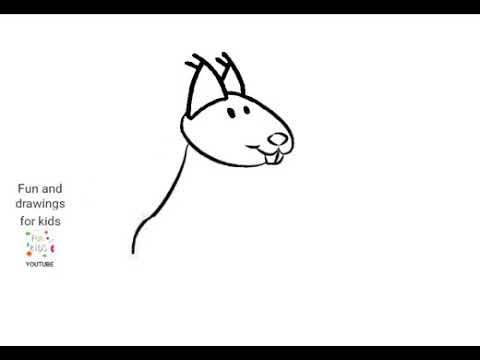 How to draw wild forest animals 🌳🐿️