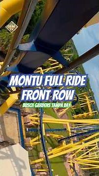 Montu Full Ride Front Row At Busch Gardens Tampa Bay #rollercoaster