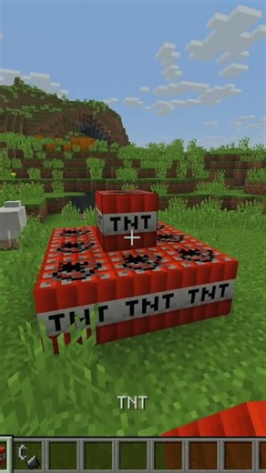 10 TNT VS 1 SHEEP🐑💥| The result will be SHOCKING! #shorts