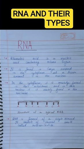 RNA AND THEIR TYPES