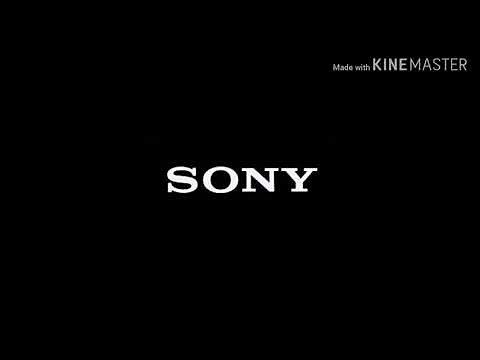 Sony / Columbia Pictures / Sony Pictures Animation / DreamWorks Animation (x2) (2020)