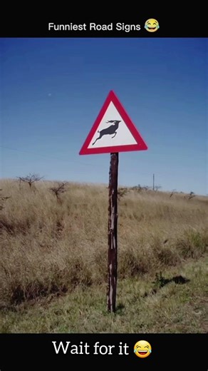 “These Road Signs Make NO Sense 😂 (Part 12)”