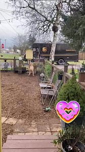 My driver always takes care of my dogs. We love our UPS guy❤️ #upsdogs #upsdriver #dogstory #dogstories #cookiemonster #dogpics #dogs #animals #friends #love #dogsofInstagram #ups #dogoftheday #cuddles #dogstagram #dogslife #dogstyle #instagramdogs #blep #mlem #facebookreelsviral #reelschallenge | UPS Dogs