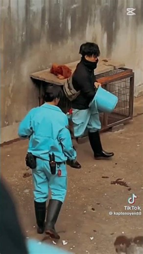 #ကချင်လေး #love #lifeisbutadream #one #japan #jai #123go 🐒🐒🐒🐒🙈🙈🙈