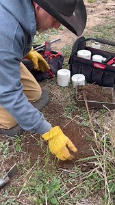 1.7K views · 66 reactions | Making a bobcat set in South Texas | Pine Hollow Trapping and Supplies | Facebook