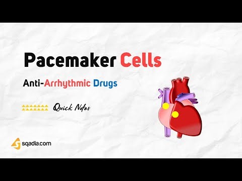 Anti-Arrhythmic Drugs | Pacemaker Cells | Cardiovascular Pharmacology | V-Learning