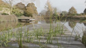 Red Dressed Woman Jumping Swimming Pond Stock Footage Video (100% Royalty-free) 3926796515 | Shutterstock
