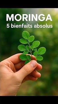 5 ABSOLUTE Benefits of Moringa