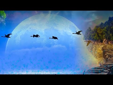 Peaceful music, Relaxing music, Instrumental music "The Bridge to Dreams" Tim Janis