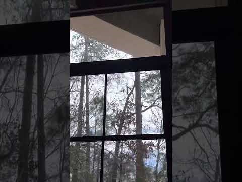 Eze Breeze windows 101