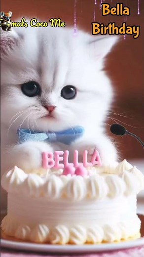 HAPPY BIRTHDAY BELLA | HAPPY BIRTHDAY SONG WITH NAMES | Adorable Cute Cat 😺 #happybirthday #cat