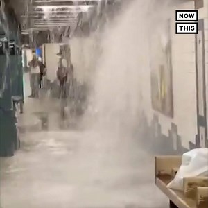 306K views · 1.1K reactions | A sudden summer storm brought pea-sized hail, strong winds, and heavy floods to the NYC area | NowThis Impact | Facebook