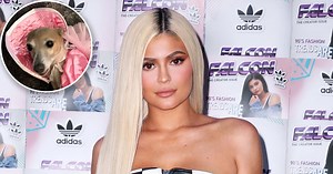 Celebrity Pet Halloween Costumes: A-Listers Dress Up Their Furbabies