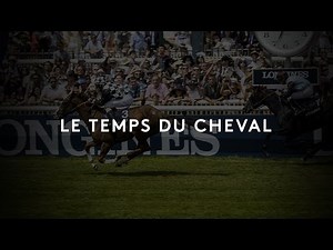 Intensity of horce racing and horse-human relationship in Deauville horse track (France).