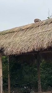 Single mother surprised by the appearance of her son the old lady came back from a long trip.-010 | Bhalaha | Facebook