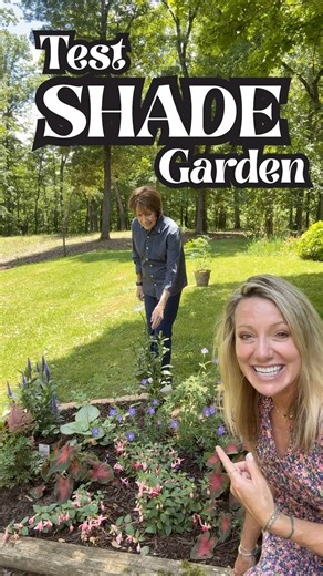 18K views · 1.6K reactions | Follow ⬇️⬇️⬇️ to see which shade plants...