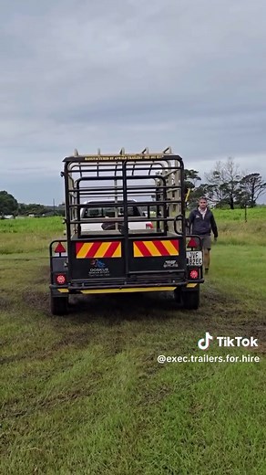 4m Cattle Trailer: Easy Livestock Transportation