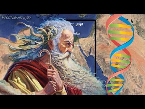 Could This Be Moses’s DNA?!?!?
