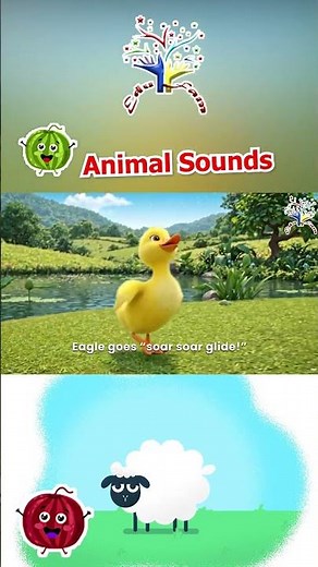 Fly, Fly, Feathered Friends! 🦜🦚 | Bird Song for Kids! Parrot, Peacock, Duck, Eagle, Pigeon