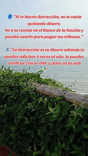  ¡Aprovecha esta oportunidad y evita problemas con SUNAT! ...