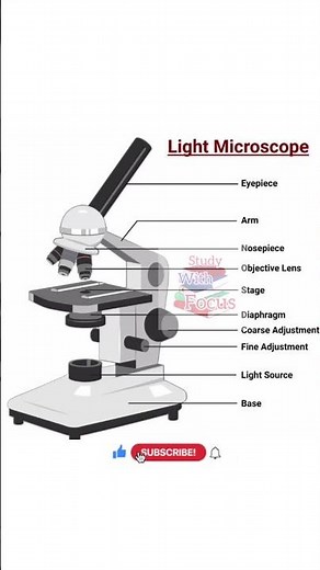 Light Microscope Diagram #chemistry #bsc #exam #studywithfocuspyqs